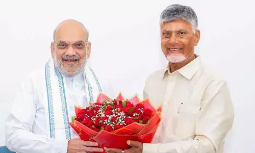 CM Chandrababu : ఏపీ అభివృద్ధే లక్ష్యం.. ఢిల్లీలో చంద్రబాబు బిజీ..!