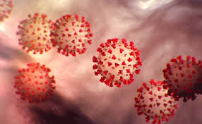 కరోనా పేషెంట్కు అరుదైన చికిత్స చేసిన ఎన్నారై కరోనా పేషెంట్కు అరుదైన చికిత్స చేసిన ఎన్నారై